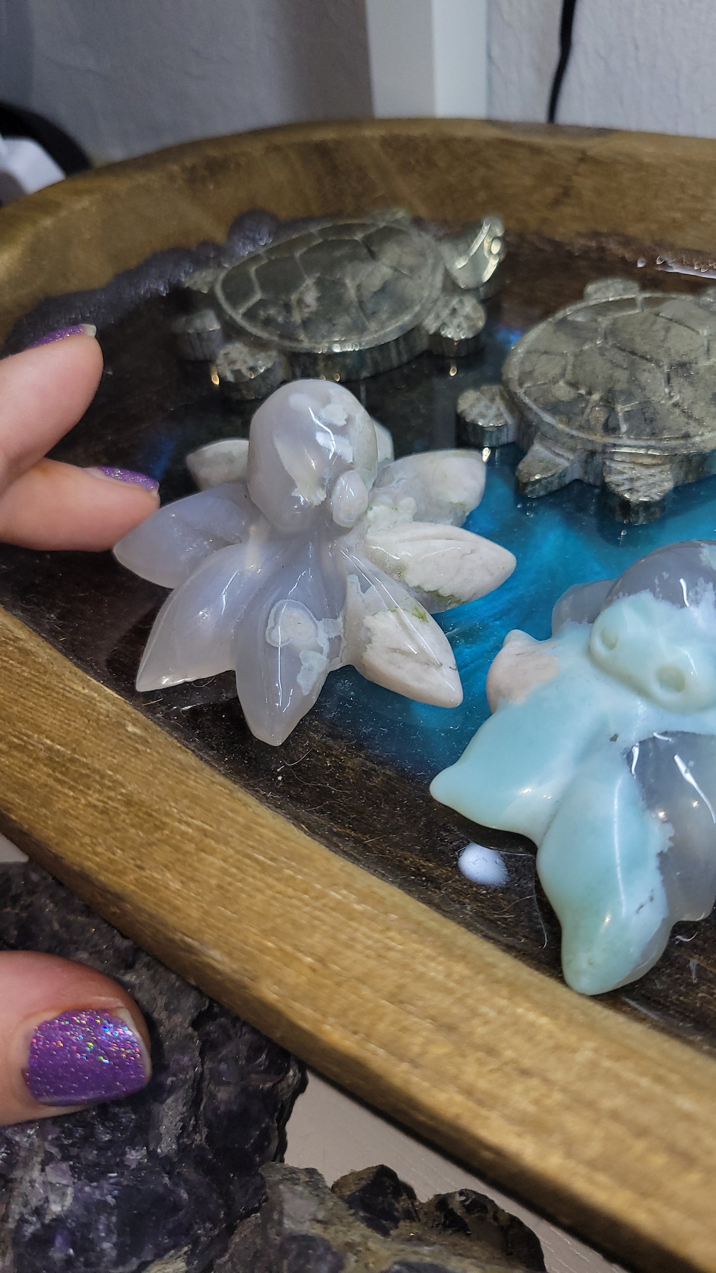 Flower agate octopuses