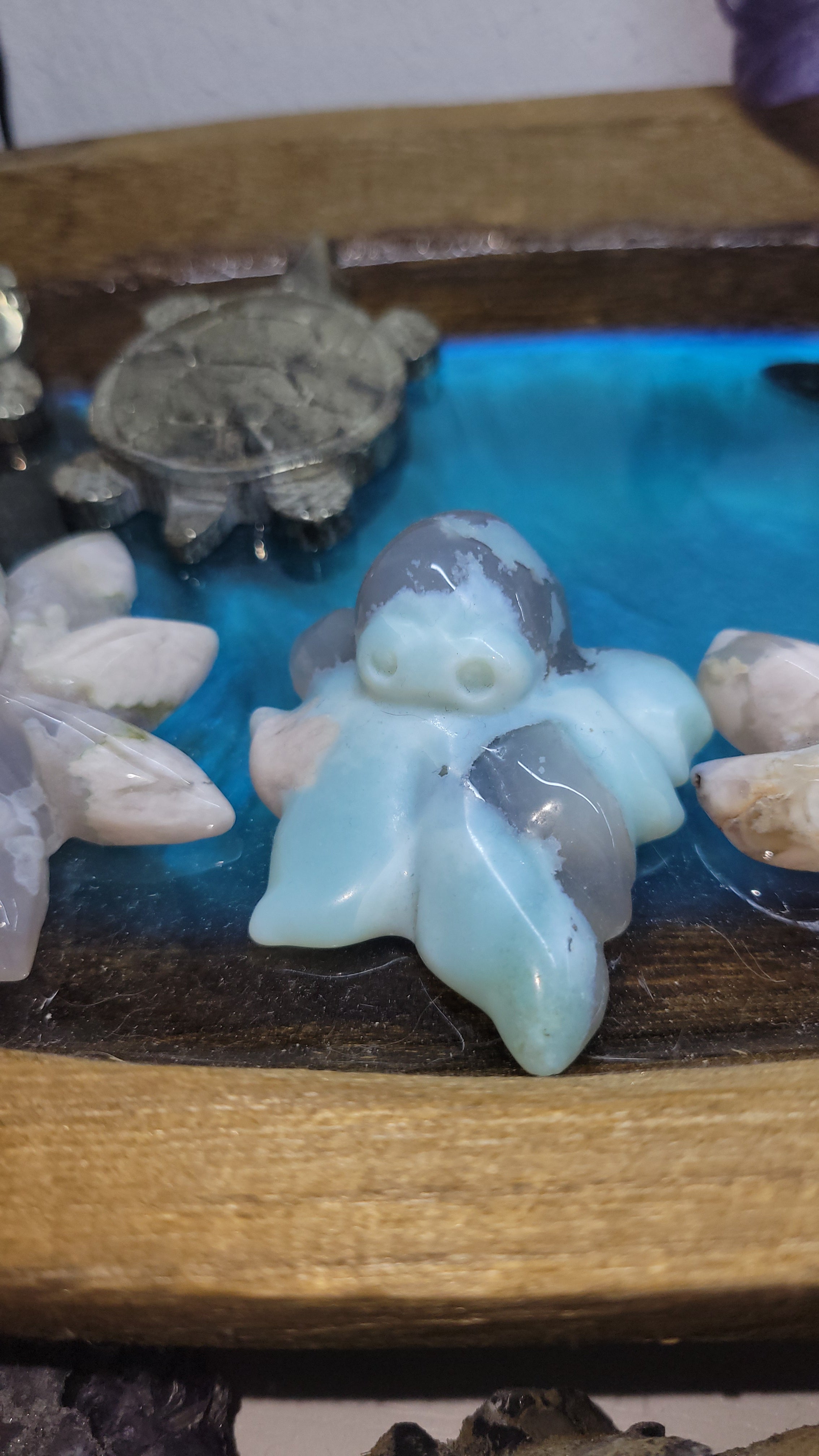Flower agate octopuses (one blue)