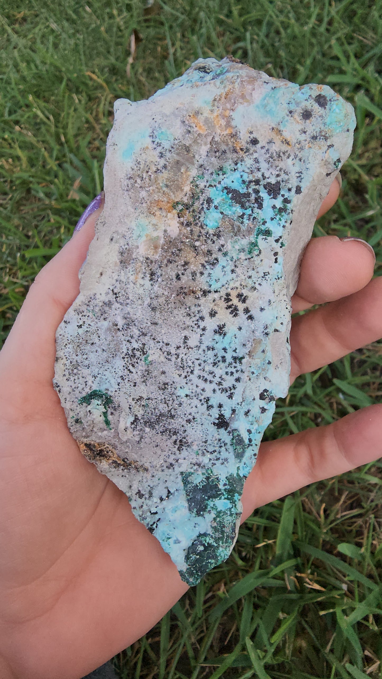 Druzy Chrysocolla Malachite & Dolomite Specimen