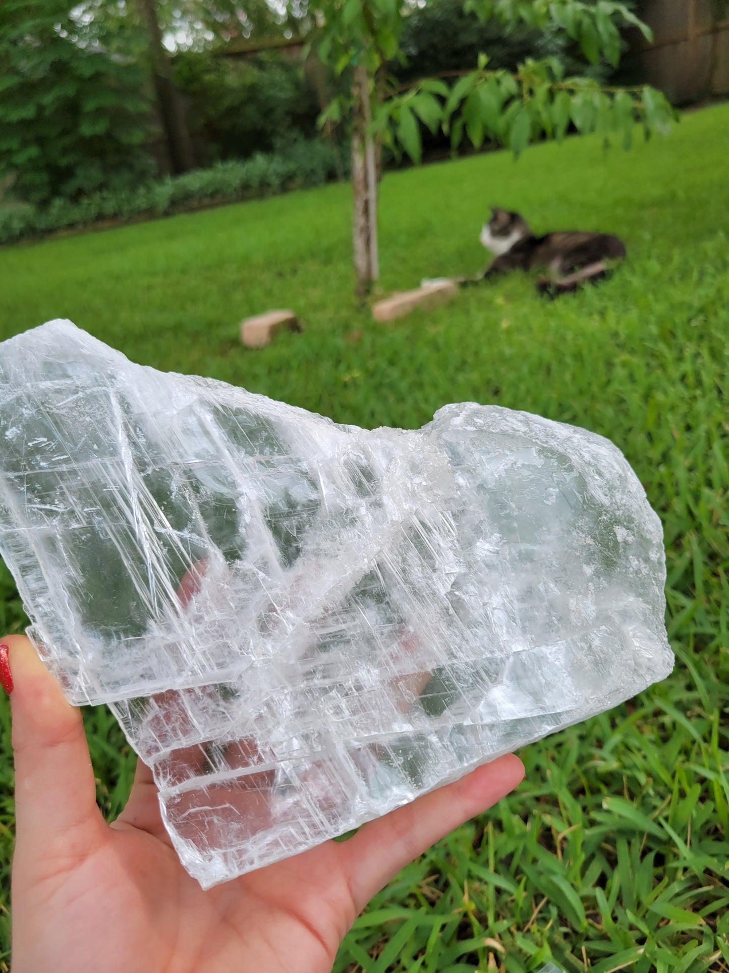 True large selenite slab