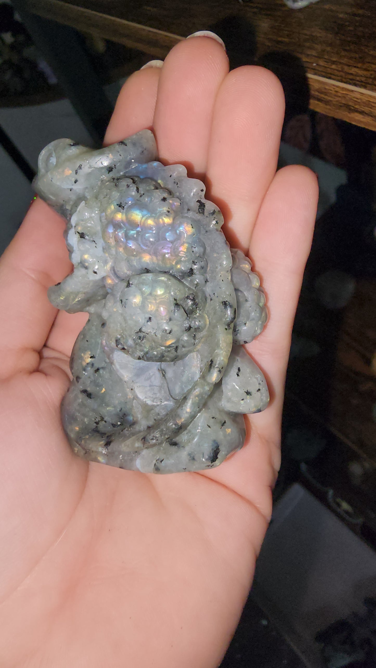 Labradorite lizard Chameleon