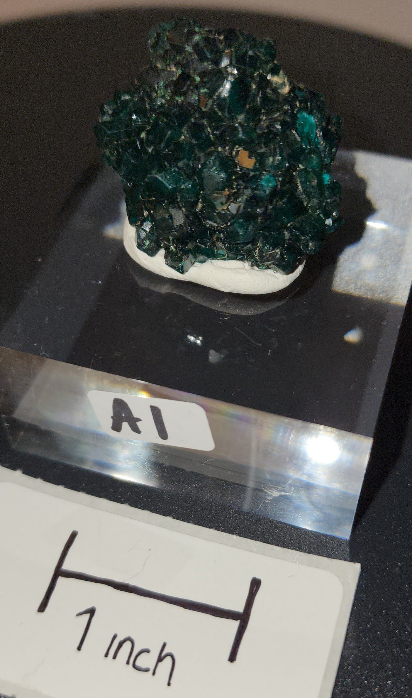 Dioptase raw specimens on acrylic stands