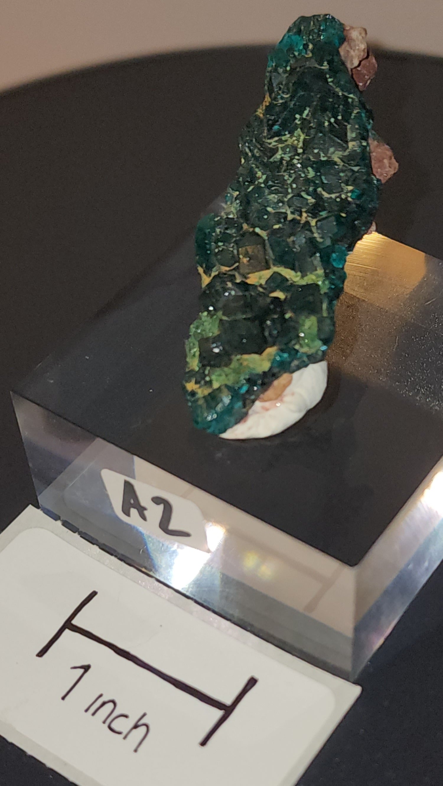 Dioptase raw specimens on acrylic stands