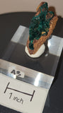 Dioptase raw specimens on acrylic stands