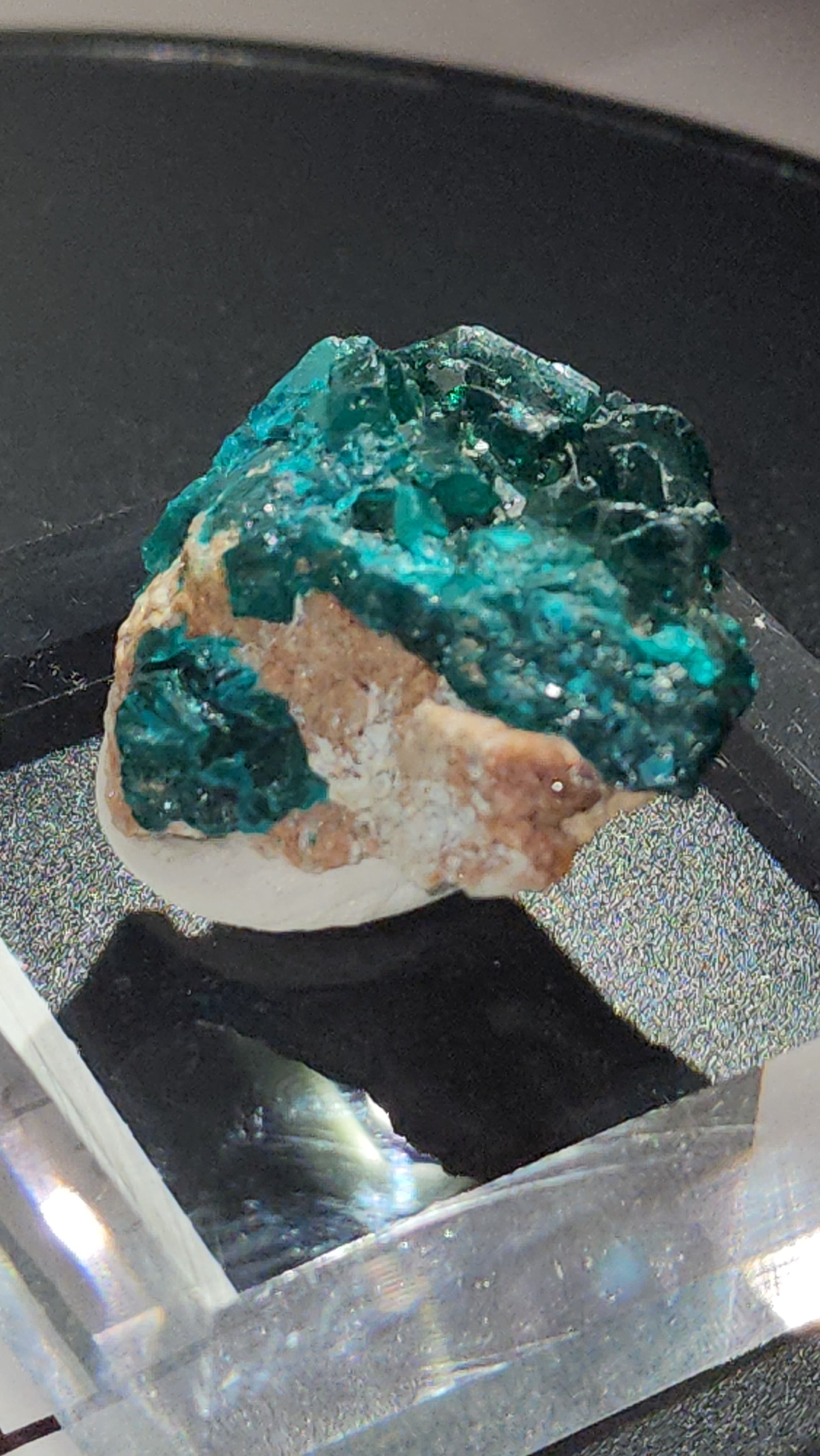 Dioptase raw specimens on acrylic stands