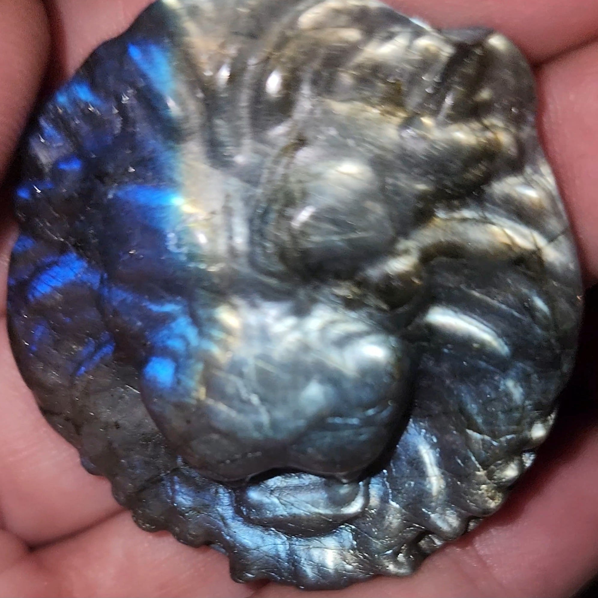 Labradorite flat carvings