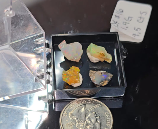 Variety mini Ethiopian opals displayed in a perky box