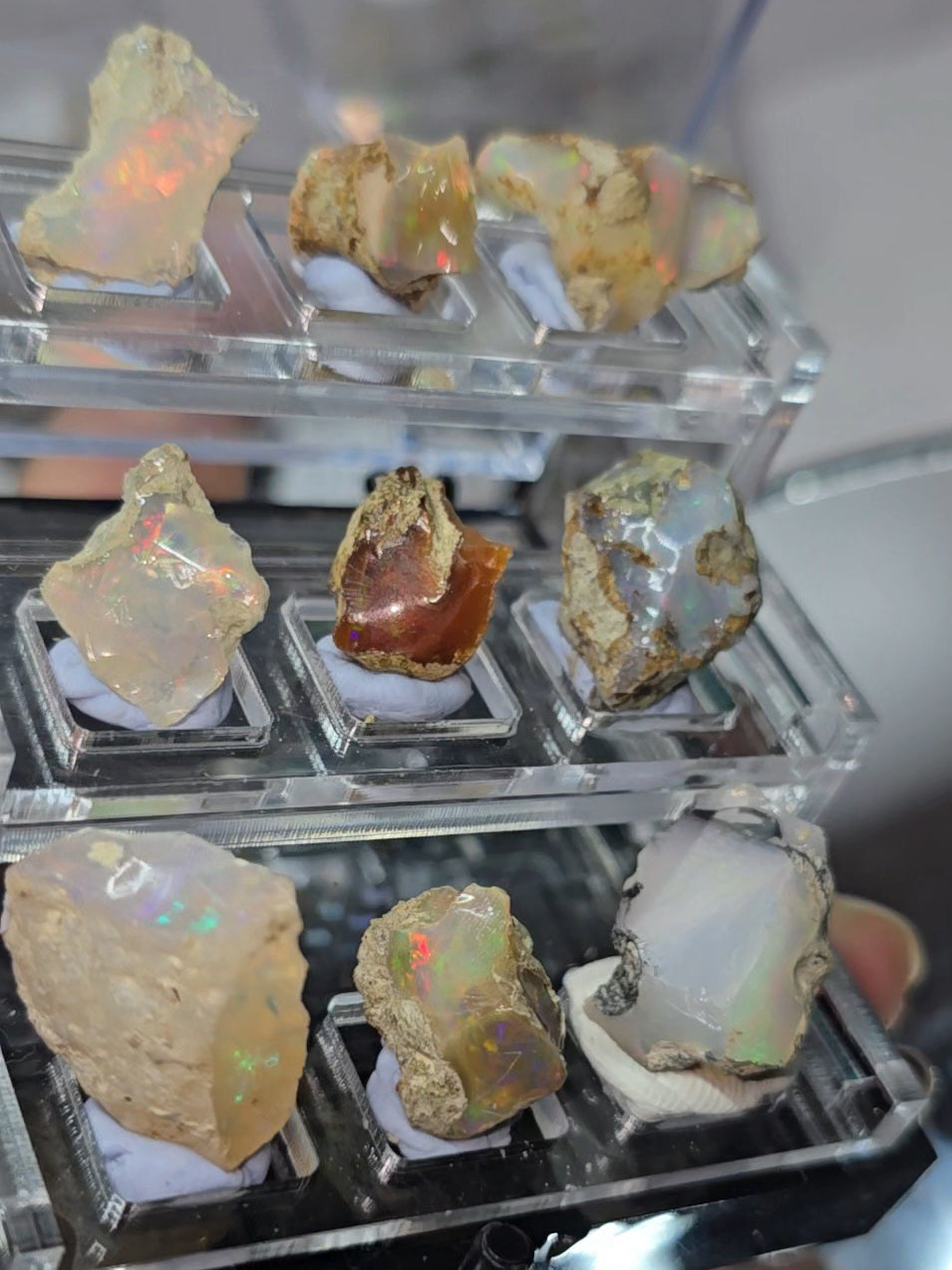 Raw and polished Ethiopian Opals in 3 tiered display boxes