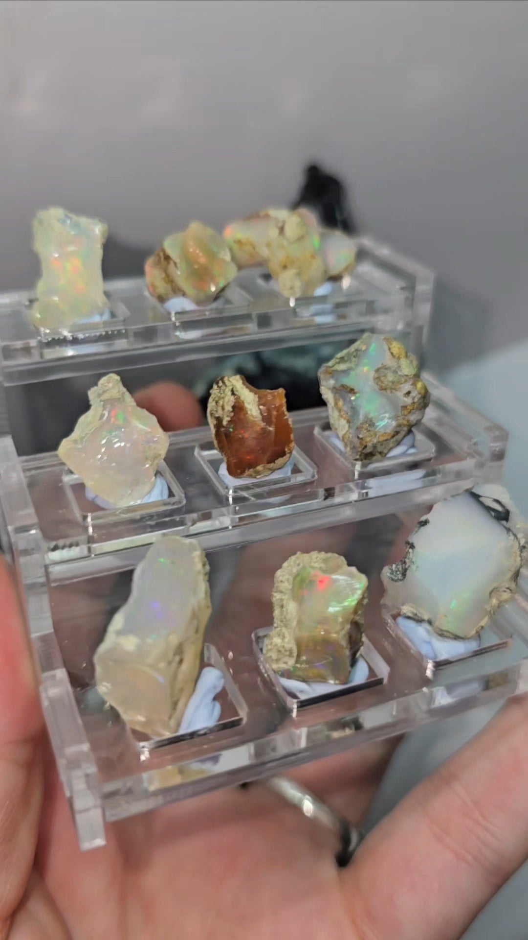 Raw and polished Ethiopian Opals in 3 tiered display boxes