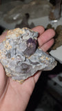 Rare Window scepter smoky Amethyst Crystal small Nodule Geode Specimen