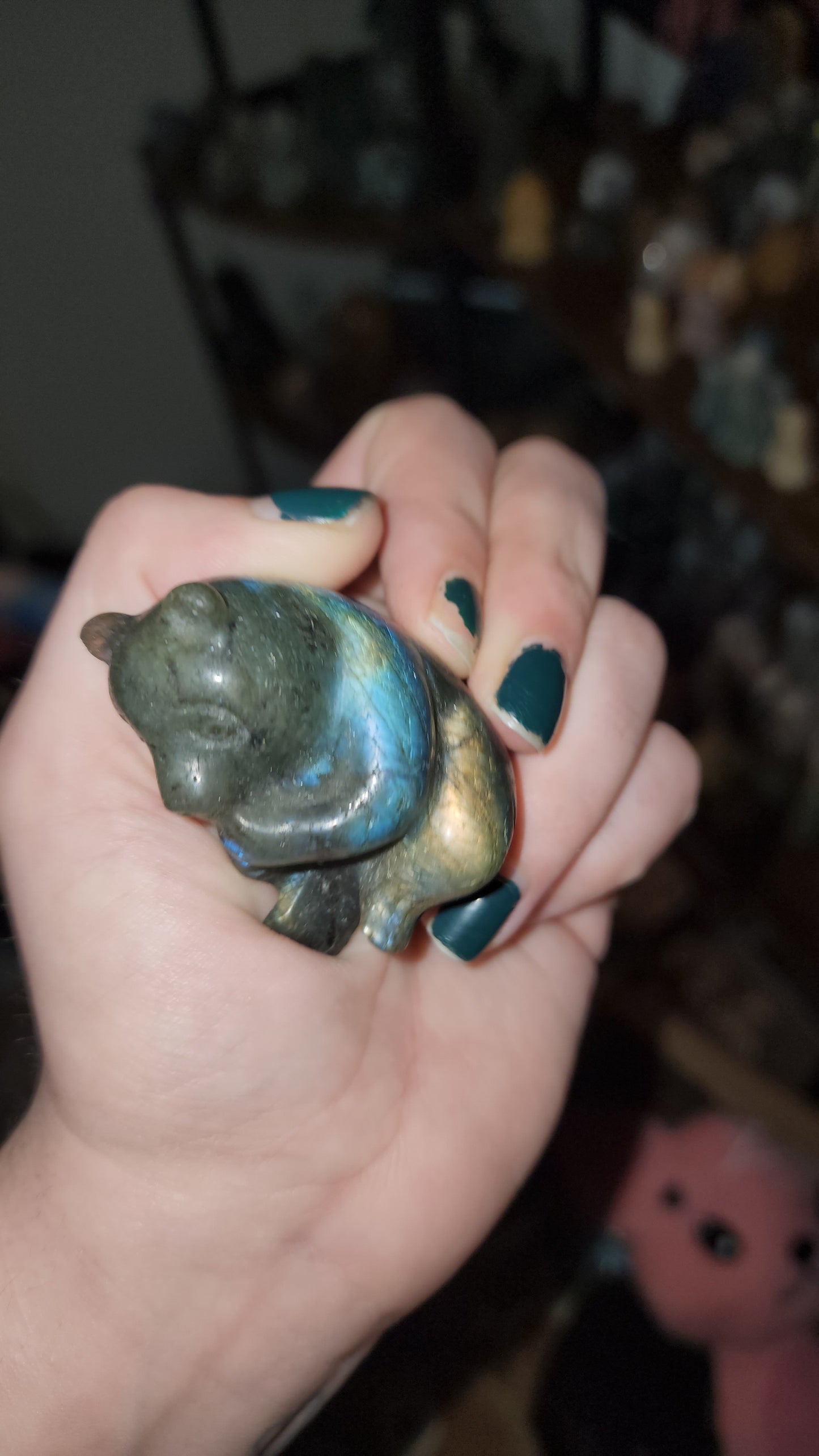 Labradorite bears honey bear