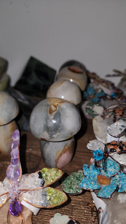 polychrome jasper crystal mushies . Intuitive pick