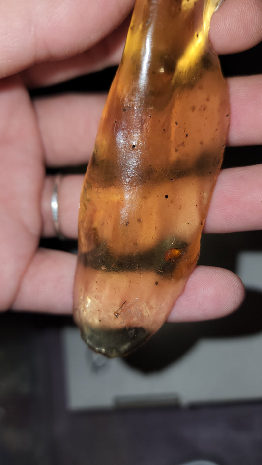 Fossilized bugs / amber / Copal Amber 20g