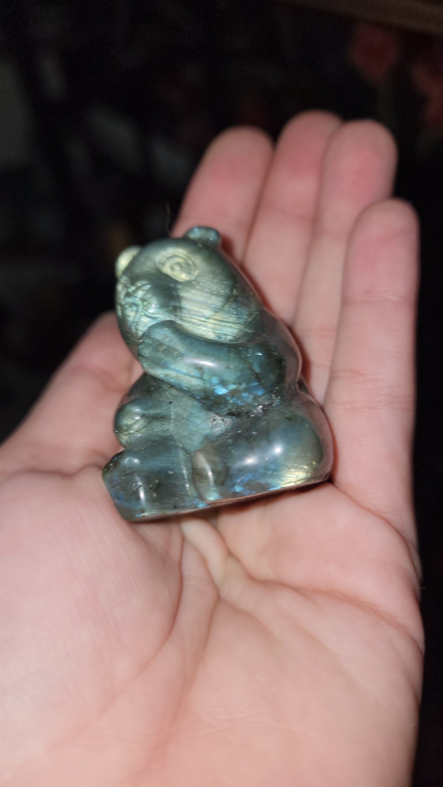 Labradorite bears honey bear