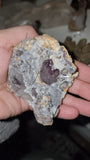 Rare Window scepter smoky Amethyst Crystal small Nodule Geode Specimen