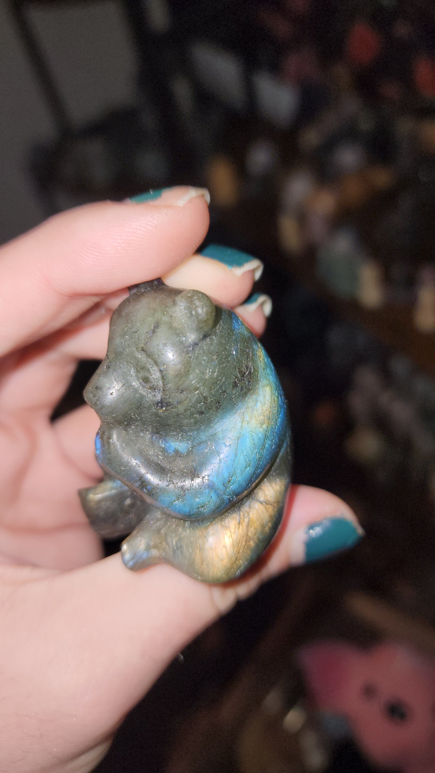 Labradorite bears honey bear