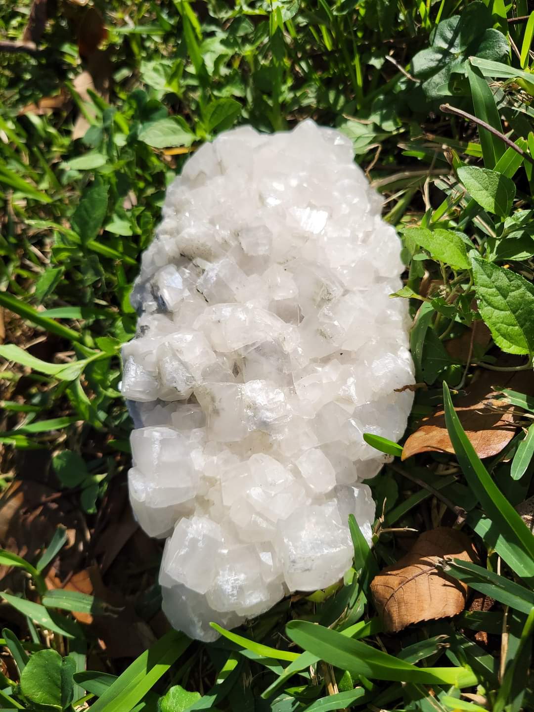 Apophyllite raw crystal